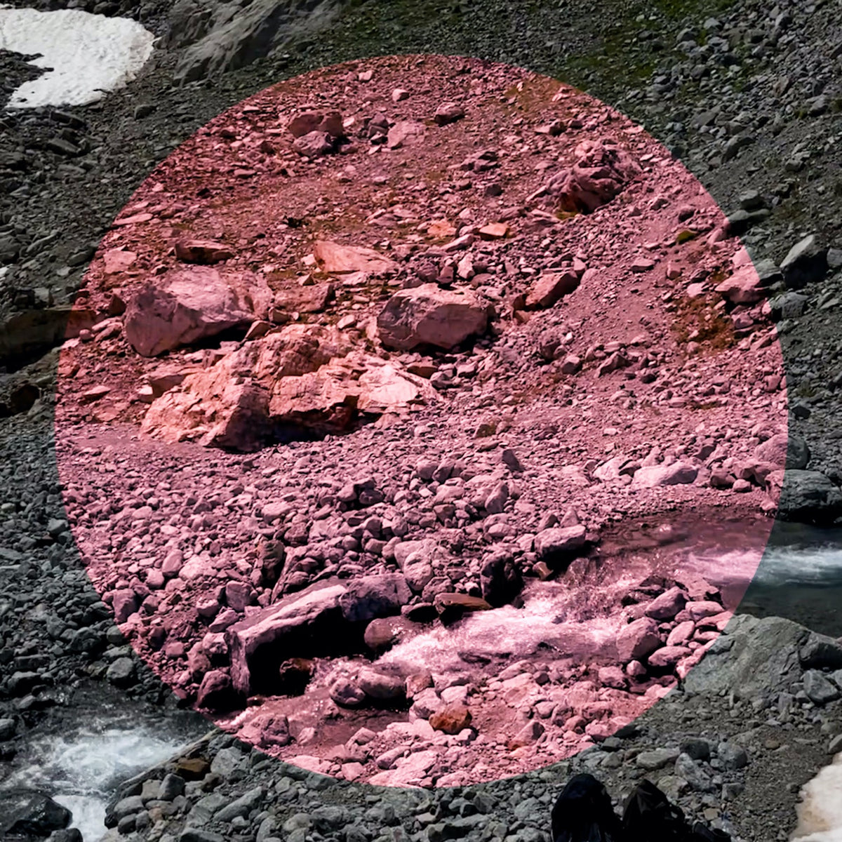 Pink Lenses