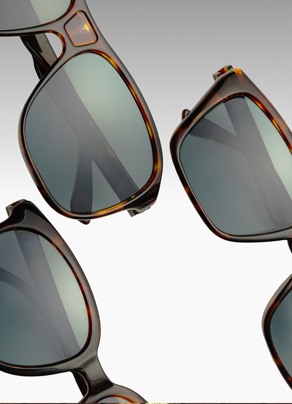 FOUR ICONIC FRAMES, A NEW COLORWAY, AND POLARIZED LENSES