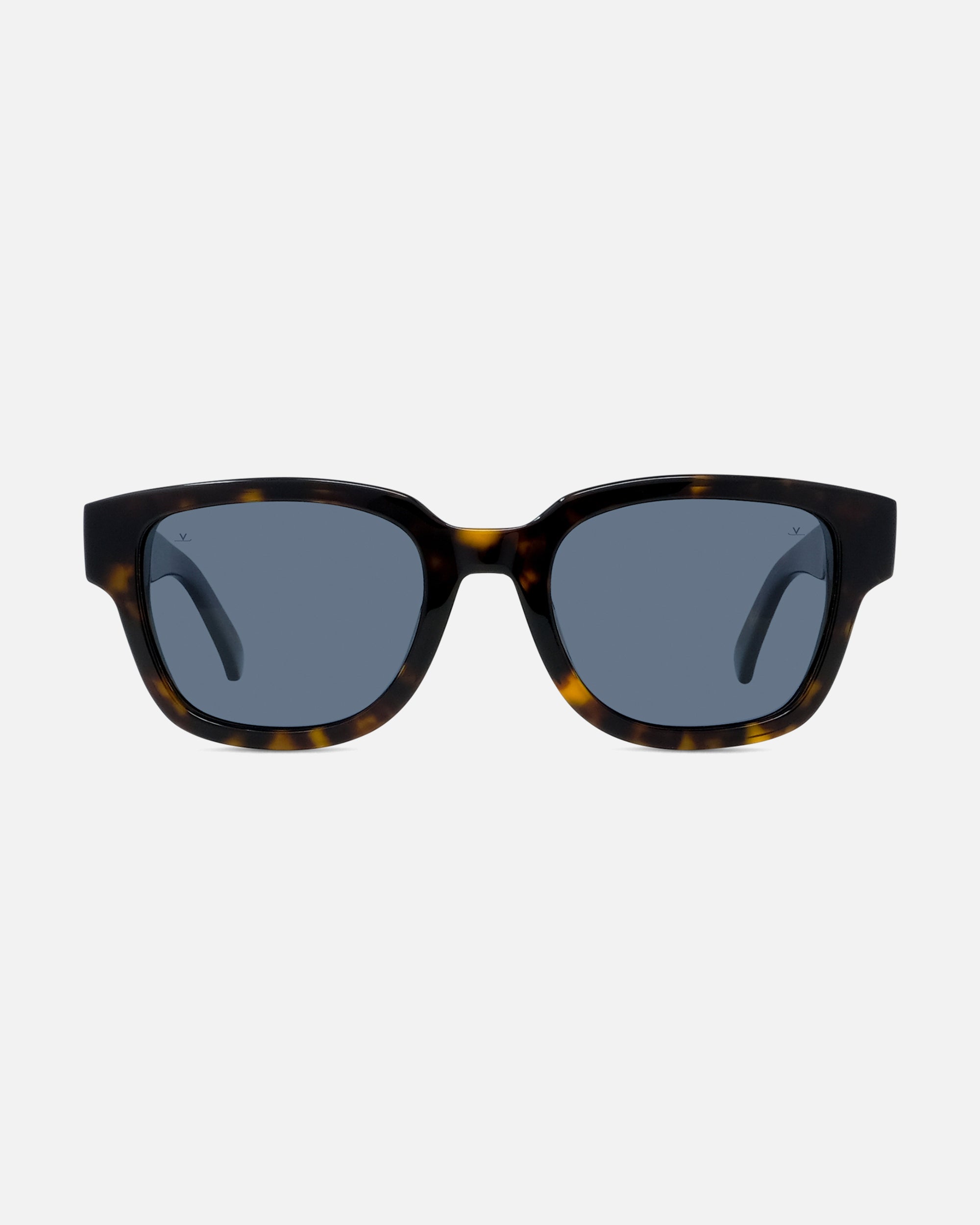 サングリアル ヴィヴィッド Vuarnet BELVEDERE 09 MEDIUM Transparent Grey - Sunglasses